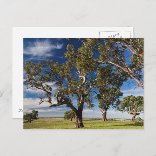 Australien, Barossa-Tal, Berg Angenehm Postkarte (Vorne/Hinten)