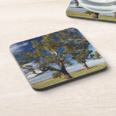 Australien, Barossa-Tal, Monte Pleasant Getränkeuntersetzer (Linke Seite)