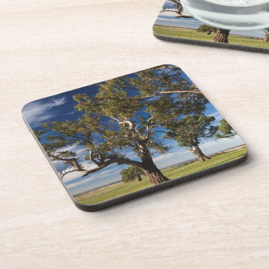 Australien, Barossa-Tal, Monte Pleasant Getränkeuntersetzer (Linke Seite)