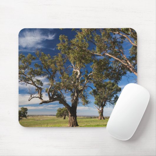 Australien, Barossa-Tal, Monte Pleasant Mousepad (Mit Mouse)