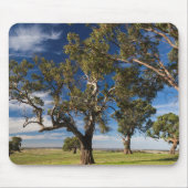 Australien, Barossa-Tal, Monte Pleasant Mousepad (Vorne)