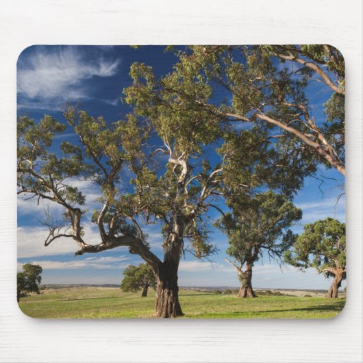Australien, Barossa Valley, Mount Pleasant Mousepad (Vorne)