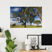 Australien, Barossa Valley, Mount Pleasant Poster (Heimbüro)