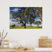 Australien, Barossa Valley, Mount Pleasant Poster (Küche)