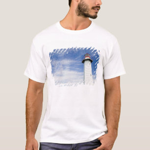 Australien, Bundesstaat Queensland, Cleveland. Die T-Shirt