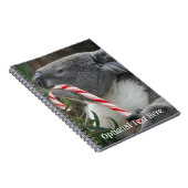 Australien Christmas Koala Bear Notizblock (Rechte Seite)