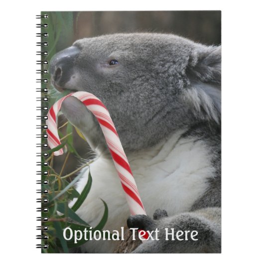 Australien Christmas Koala Bear Notizblock (Vorderseite)