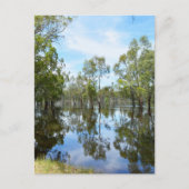 Australien Der Murray Feiertagspostkarte (Vorderseite)