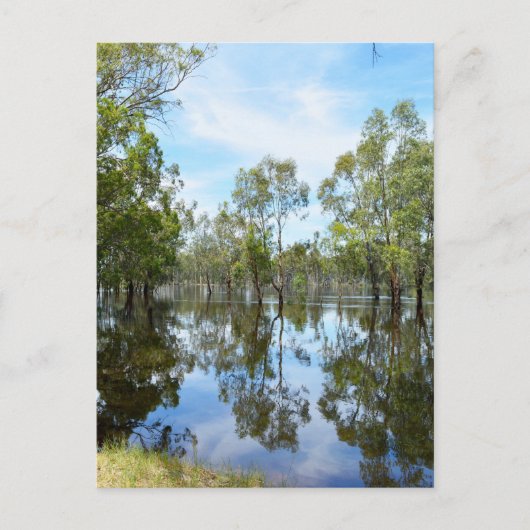 Australien Der Murray Postkarte (Vorderseite)