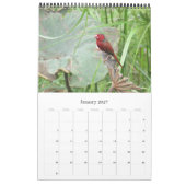 Australien Ende 2025 Kalender (Jan 2027)