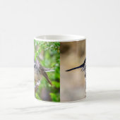 Australien Fairy Wrens Kaffeetasse (Mittel)