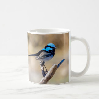 Australien Fairy Wrens Kaffeetasse