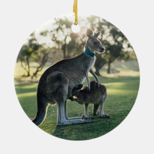 Australien Flag Map Circle Ornament (Hinten)