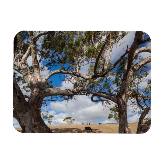 Australien, Fleurieu-Halbinsel, Normanville Magnet (Horizontal)