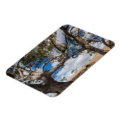 Australien, Fleurieu-Halbinsel, Normanville Magnet (Linke Seite)