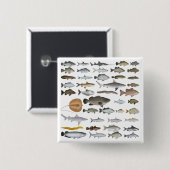 Australien Freshwater Fish Group Button (Vorne & Hinten)