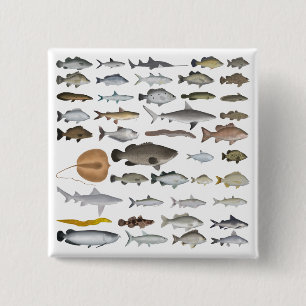 Australien Freshwater Fish Group Button