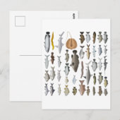 Australien Freshwater Fish Group Postkarte (Vorne/Hinten)