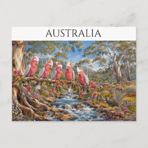 Australien Galah-Kakadus & Leierschwanz Bach Postkarte