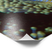 Australien, Great Barrier Reef, Anemonefisch Fotodruck (Ecke)