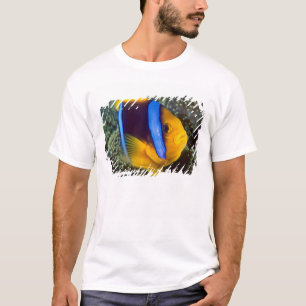 Australien, Great Barrier Reef, Anemonenfisch T-Shirt