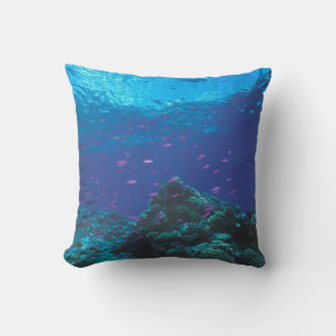 Australien, Great Barrier Reef. Lila Kissen