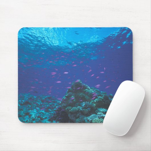 Australien, Great Barrier Reef. Lila Mousepad (Mit Mouse)