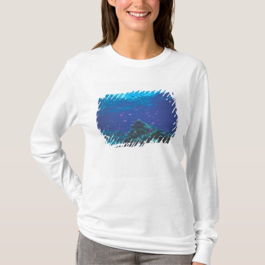 Australien, Great Barrier Reef. Lila T-Shirt (Vorderseite)