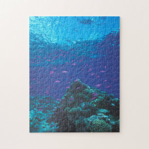 Australien, Great Barrier Reef. Schwarm von Lila Puzzle