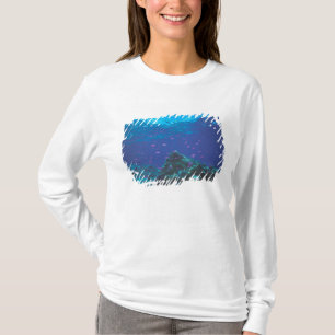Australien, Great Barrier Reef. Schwarm von Lila T-Shirt