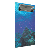 Australien, Great Barrier Reef. Schwärmendes Lila Mini Klemmbrett (Schrägansicht)