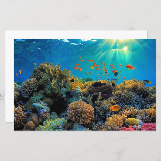 Australien Great Barrier Reef stilisierte Papierbl (Vorne/Hinten)