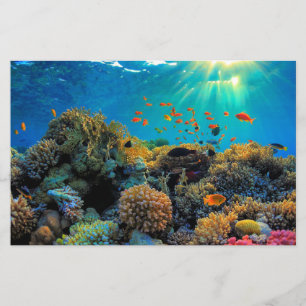 Australien Great Barrier Reef stilisierte Papierbl