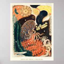 Australien, Great Barrier Reef Vintages Kunstposte Poster