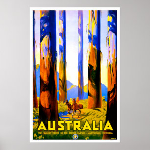 Australien, hohe Bäume von Marysville, Victoria Poster