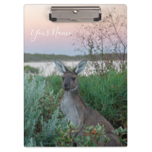 Australien Kangaroo Animal Wildlife Sunset Nature Klemmbrett