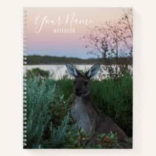 Australien Kangaroo Animal Wildlife Sunset Nature Notizblock