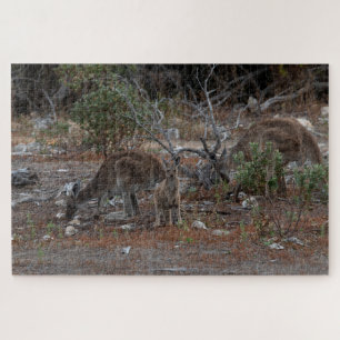 Australien Kangaroo Familie: Mutter, Vater, Baby J Puzzle