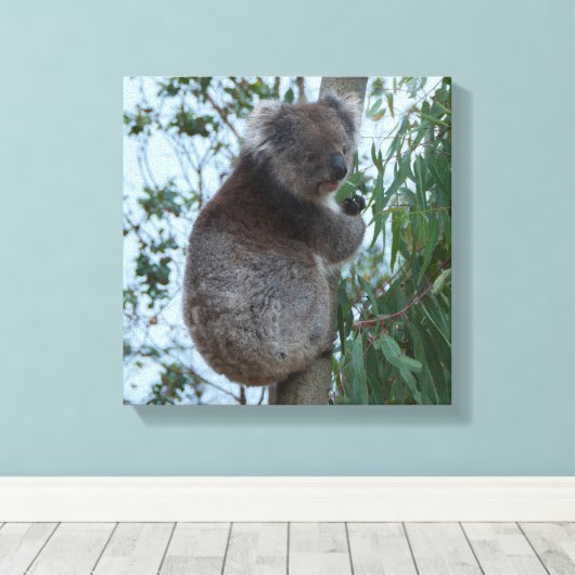 Australien Kangaroo Insel Koala in einem Baum Leinwanddruck (Insitu (Holzboden))