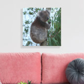Australien Kangaroo Insel Koala in einem Baum Leinwanddruck (Insitu (Wohnzimmer))