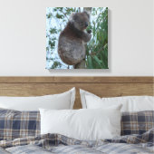Australien Kangaroo Insel Koala in einem Baum Leinwanddruck (Insitu (Schlafzimmer))