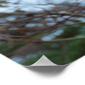 Australien Kangaroo Insel Koala in einem Baum Poster (Ecke)