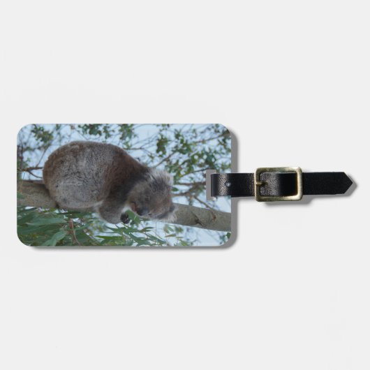 Australien Kangaroo Insel Niedlich Koala in einem Gepäckanhänger (Vorderseite horizontal)