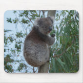Australien Kangaroo Insel Niedlich Koala in einem  Mousepad (Vorne)