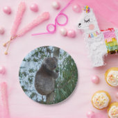 Australien Kangaroo Insel Niedlich Koala in einem Pappteller (Party)