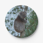 Australien Kangaroo Insel Niedlich Koala in einem Pappteller (Vorderseite)