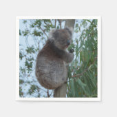 Australien Kangaroo Insel Niedlich Koala in einem  Serviette (Vorderseite)