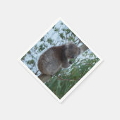 Australien Kangaroo Insel Niedlich Koala in einem  Serviette (Ecke)