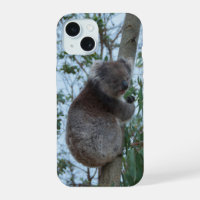 Australien Kangaroo Island Koala in einem Baum