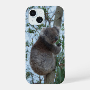 Australien Kangaroo Island Koala in einem Baum iPhone 15 Hülle